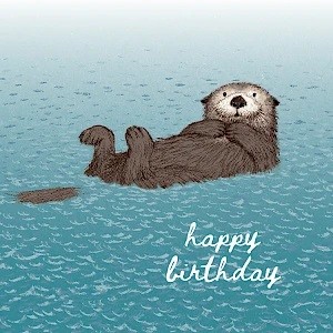 Sea Otter Birthday Card