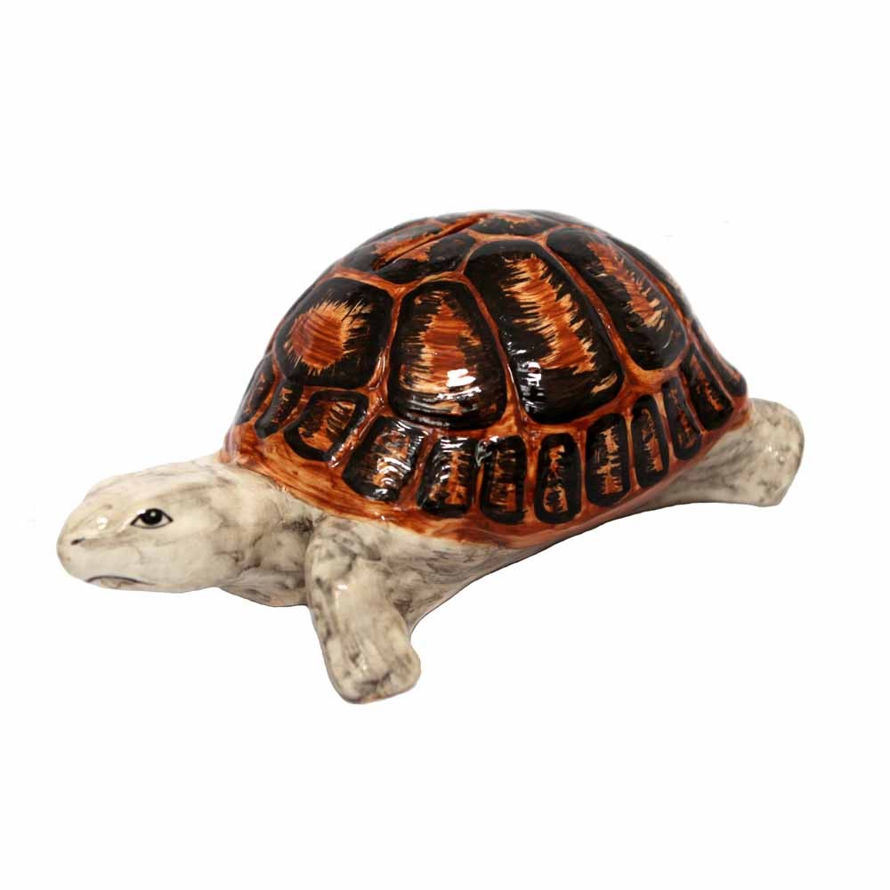 Tortoise Money Box