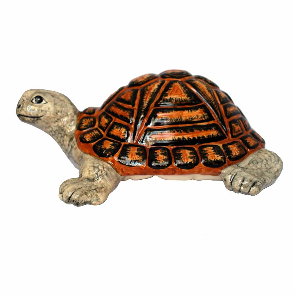 Large Tortoise Money Box