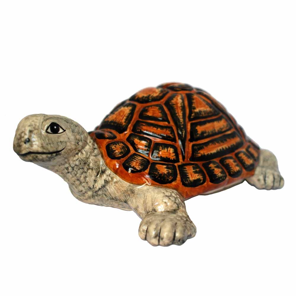 Large Tortoise Money Box